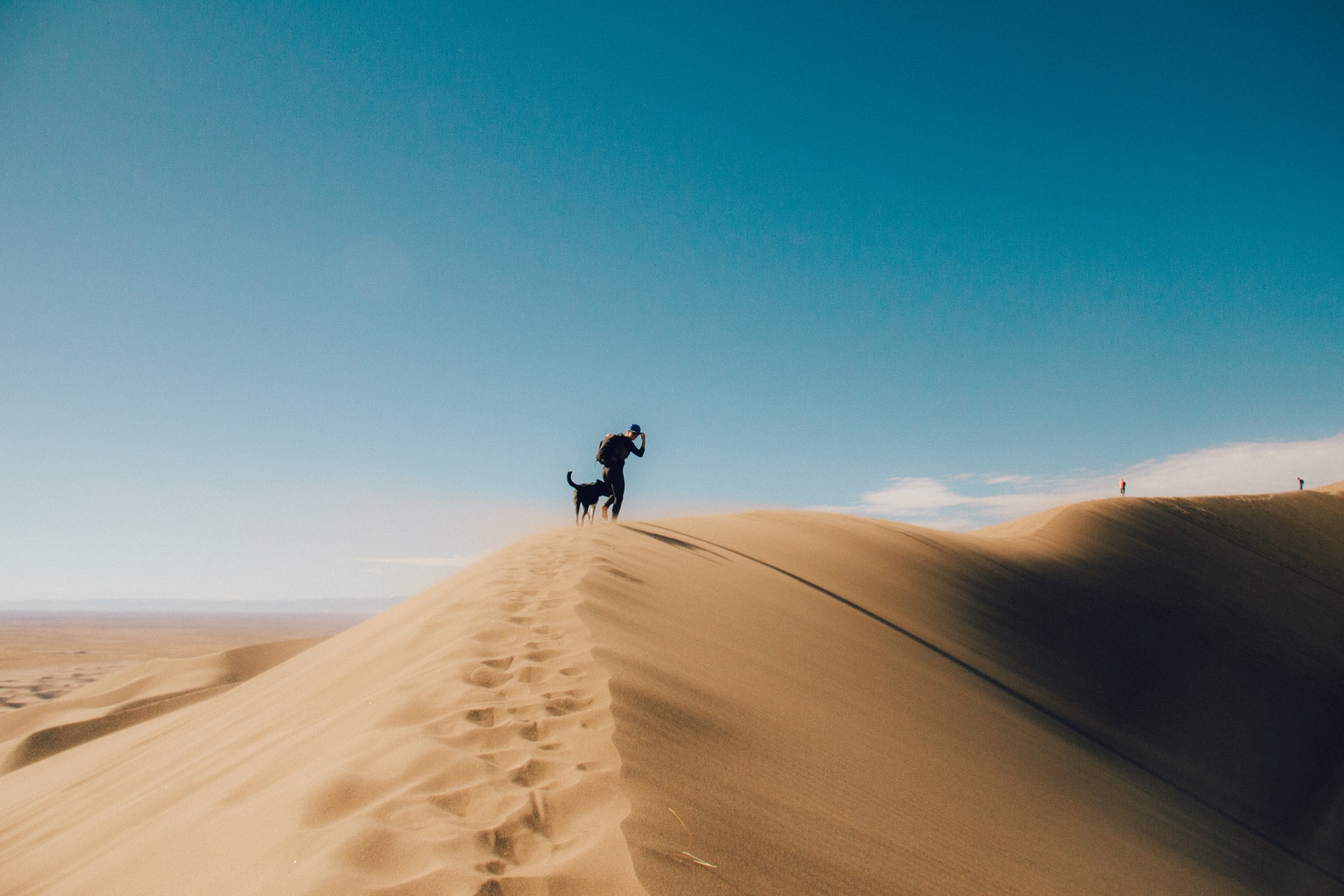 Why Transitions Are the Perfect Time to Hire a Life Coach